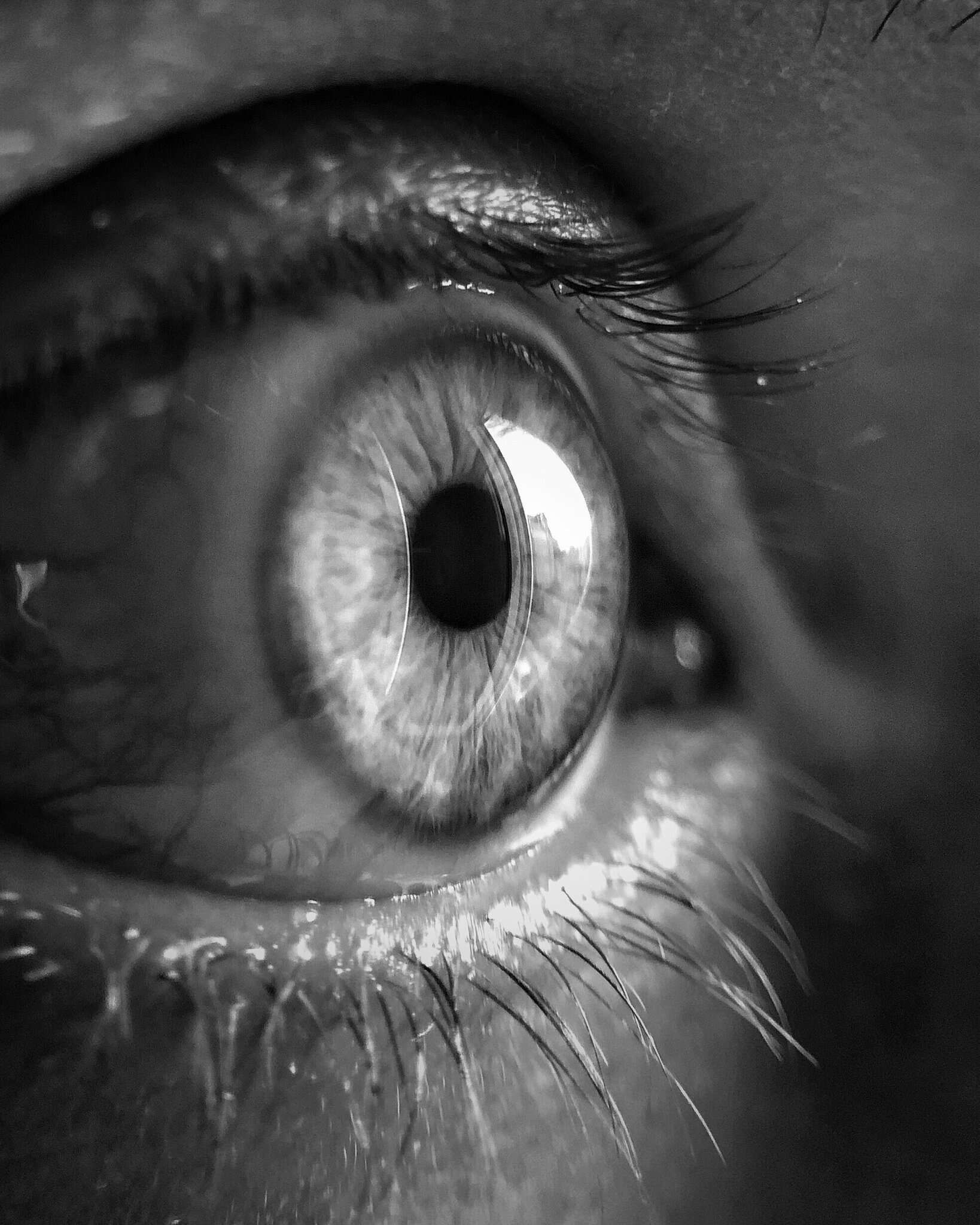 grayscale-close-up-photo-of-human-eye-3732993