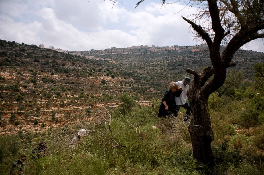 A Sar7a with Raja Shehadeh, Palestinian human rights activist, in the Ramallah Hills. Photo by PalFest