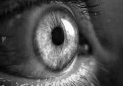 grayscale-close-up-photo-of-human-eye-3732993